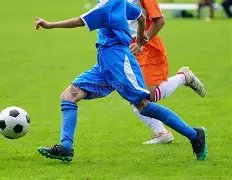 尼科,威廉斯一击,制胜,乐鱼体育,LeYu,Sports,乐鱼体育官网,乐鱼体育官网,乐鱼体育下载,乐鱼体育APP