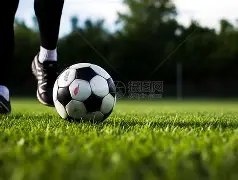 乐鱼体育,资讯,LeYu,乐鱼体育,LeYu,Sports,乐鱼体育官网,乐鱼体育官网,乐鱼体育下载,乐鱼体育APP