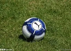 乐鱼体育,资讯,LeYu,乐鱼体育,LeYu,Sports,乐鱼体育官网,乐鱼体育官网,乐鱼体育下载,乐鱼体育APP