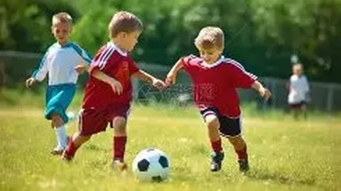 乐鱼体育 资讯 172554 fxv